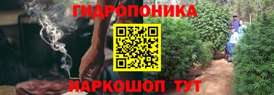 гидропоника Славгород