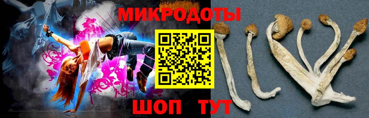 Галлюциногенные грибы мицелий Похвистнево